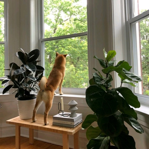 Meet your Posher, Wendy - Picture 9 of 9